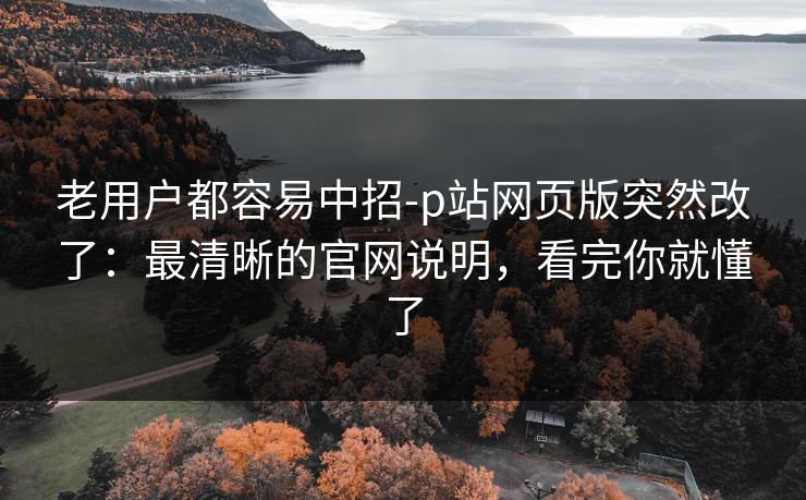 老用户都容易中招-p站网页版突然改了：最清晰的官网说明，看完你就懂了