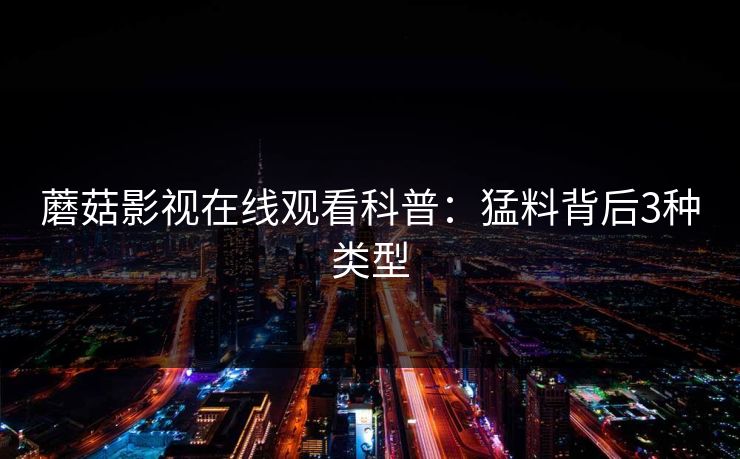 蘑菇影视在线观看科普：猛料背后3种类型