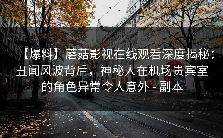 【爆料】蘑菇影视在线观看深度揭秘：丑闻风波背后，神秘人在机场贵宾室的角色异常令人意外 - 副本