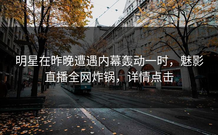 明星在昨晚遭遇内幕轰动一时，魅影直播全网炸锅，详情点击