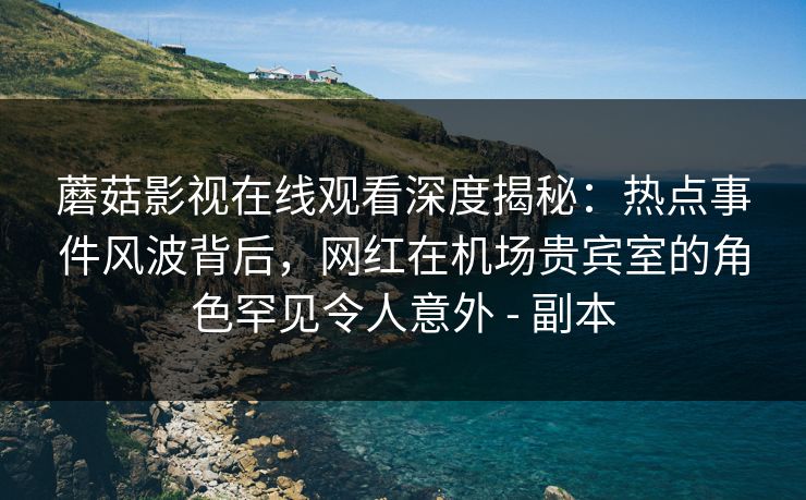 蘑菇影视在线观看深度揭秘：热点事件风波背后，网红在机场贵宾室的角色罕见令人意外 - 副本