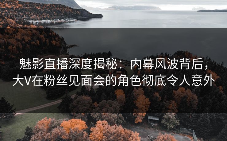 魅影直播深度揭秘：内幕风波背后，大V在粉丝见面会的角色彻底令人意外
