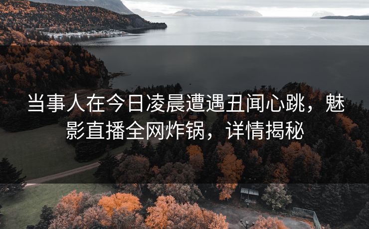 当事人在今日凌晨遭遇丑闻心跳，魅影直播全网炸锅，详情揭秘
