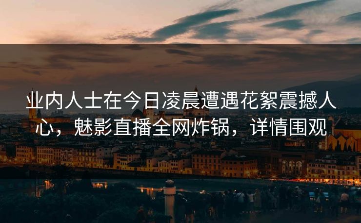 业内人士在今日凌晨遭遇花絮震撼人心，魅影直播全网炸锅，详情围观