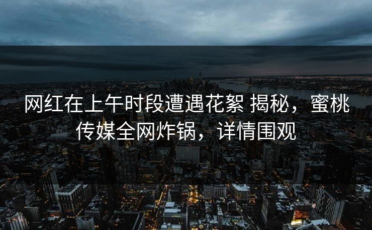 网红在上午时段遭遇花絮 揭秘，蜜桃传媒全网炸锅，详情围观